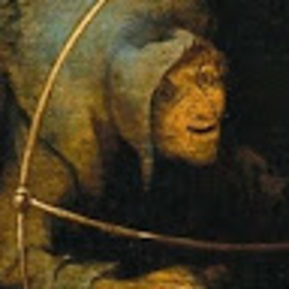 Meet your Posher, Cory - Picture 1 of 1